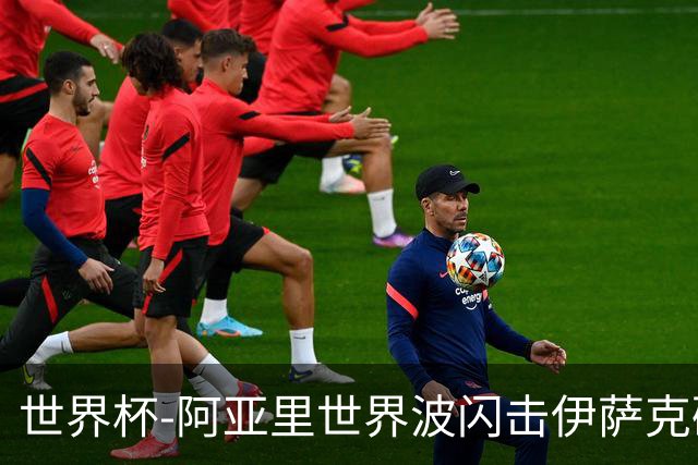 世界杯-阿亚里世界波闪击伊萨克破门 半场瑞典2-1突尼斯